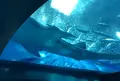 沖縄美ら海水族館の写真_571328