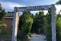 備瀬のフクギ並木の写真_571337