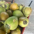 Dededo Flea market（デデドの朝市）の写真_574545