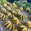 Dededo Flea market（デデドの朝市）の写真_574546