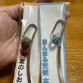 北一硝子三号館の写真_574928