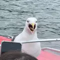 （有）北欧産業の写真_574943
