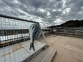 漁港の駅 TOTOCO小田原の写真_574985