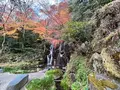 天成園の写真_574993