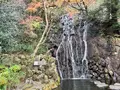 天成園の写真_574996