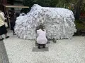 安井金比羅宮の写真_575318