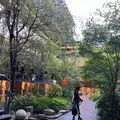 新風館の写真_575346