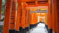 伏見稲荷大社の写真_575350