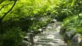 東福寺の写真_575372