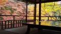 瑠璃光院の写真_575381