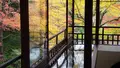 瑠璃光院の写真_575382