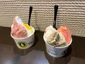 アリマジェラテリアスタジオーネの写真_575454
