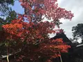 白毫寺の写真_575477