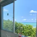海美来の写真_575564