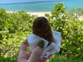 海美来の写真_575565
