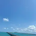 海美来の写真_575567
