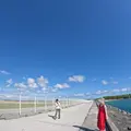 17ENDの写真_575568