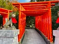 福徳稲荷神社の写真_575769