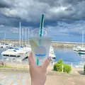 道の駅 伊東マリンタウンの写真_575905