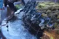 箱根神社の写真_576663