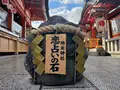 地主神社の写真_578771