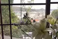 帆雨亭（はんうてい）の写真_578806