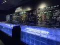 鶴岡市立加茂水族館（クラゲドリーム館）の写真_580203