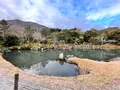天龍寺の写真_580282