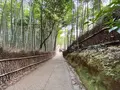 天龍寺の写真_580283