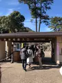 熱海梅園の写真_582322