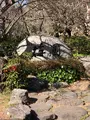 熱海梅園の写真_582323
