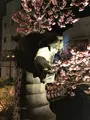 あたみ桜 糸川桜まつりの写真_582383