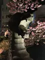 あたみ桜 糸川桜まつりの写真_582384