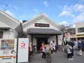 曽我梅林の写真_582556