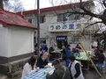 曽我梅林の写真_582565