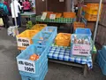 曽我梅林の写真_582567