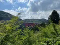 道の駅 奥出雲おろちループの写真_584110