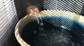 リブマックスリゾート安芸宮島の写真_584206