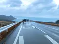 豊島 棚田プロジェクトの写真_585986