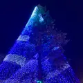 時之栖の写真_586004