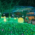 時之栖の写真_586010