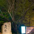 時之栖の写真_586013