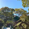 楽寿園の写真_586043