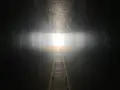 家プロジェクト「護王神社」の写真_586251