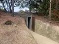家プロジェクト「護王神社」の写真_586252