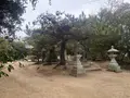 家プロジェクト「護王神社」の写真_586253