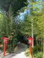 來宮神社の写真_587505