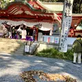 來宮神社の写真_587506