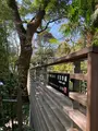 來宮神社の写真_587507