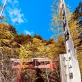 來宮神社の写真_587511